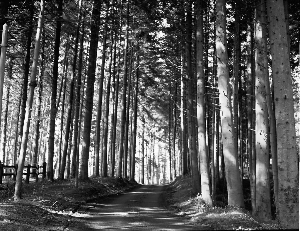 champ de la pierre.html