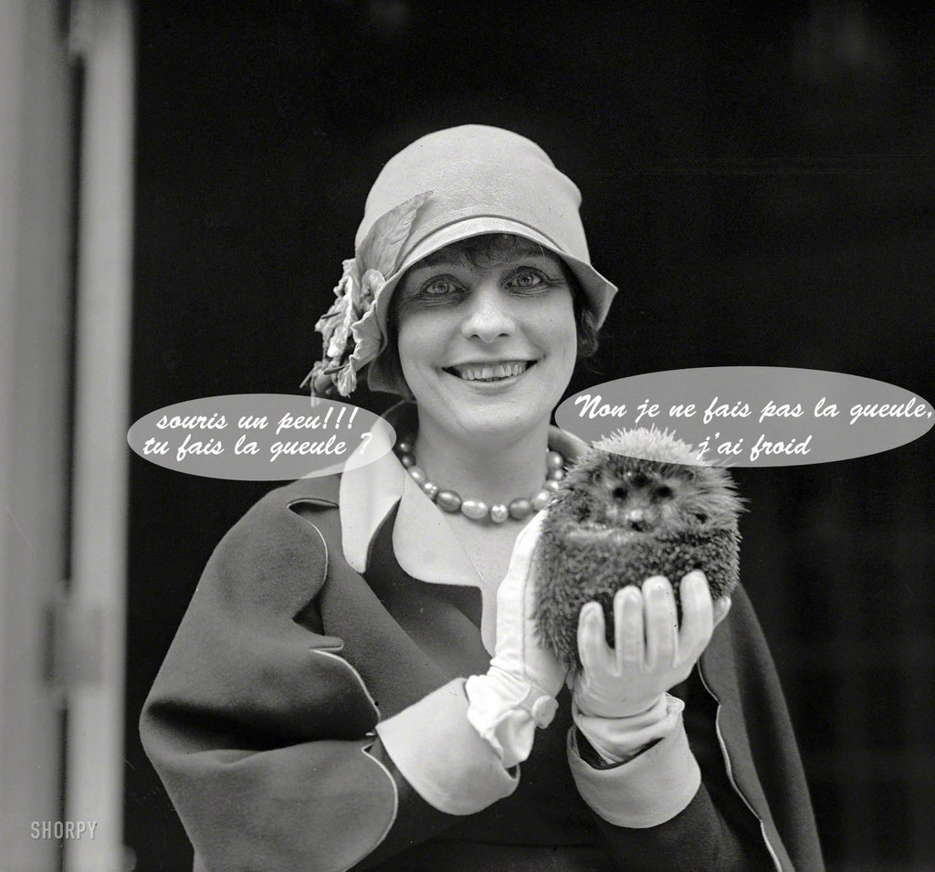 la dame et le hérisson