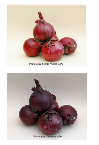 charles jones-13.html