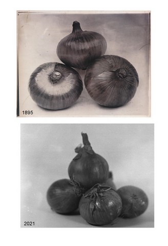 charles jones-6.html