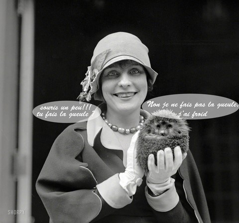 la dame et le hérisson